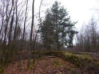 6  Saverne LE WASSERWALD 05 03 2017 32